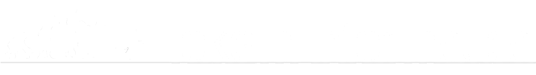 Tokem Software